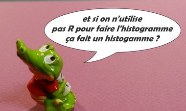 histogramme avec R