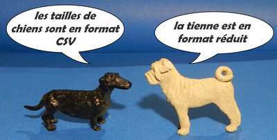 formats de tailles