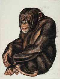 chimpanzé par Margat, MAM