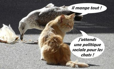 politique sociale